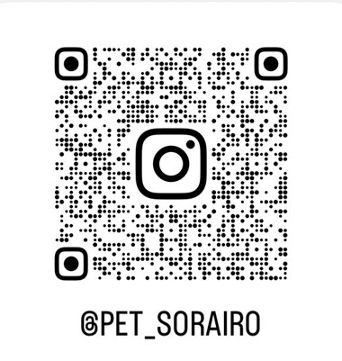 Instagram（@pet_sorairo）のQRコード
